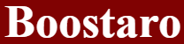 Boostaro-logo